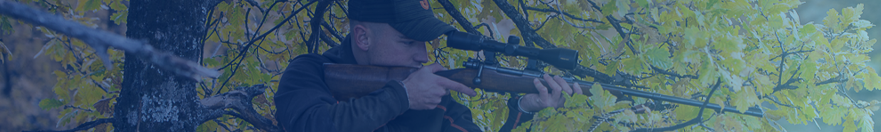 Armements