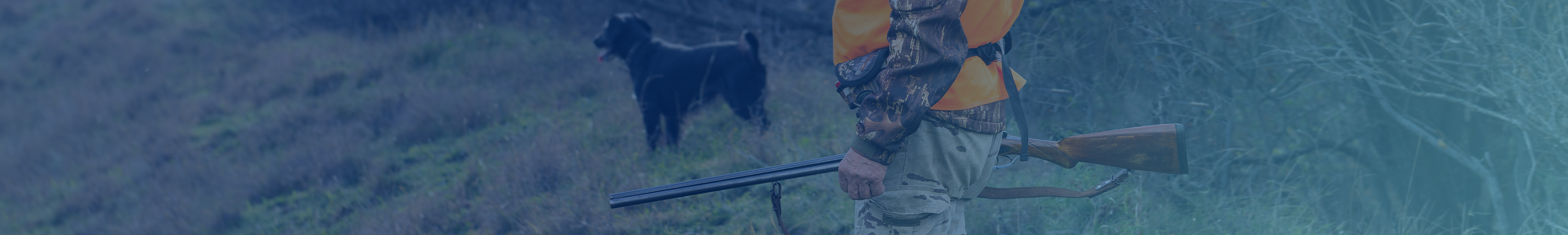 Accessoires pour armes