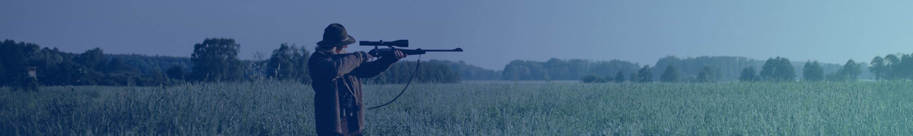 Entretiens des armes