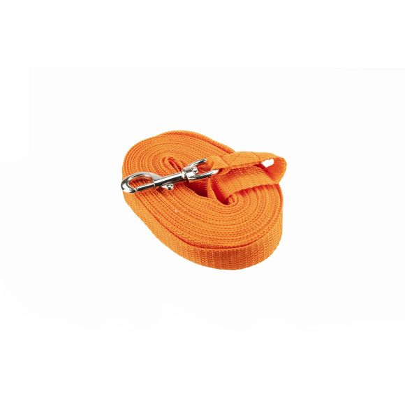 Longe/Sangle Verte de 10m