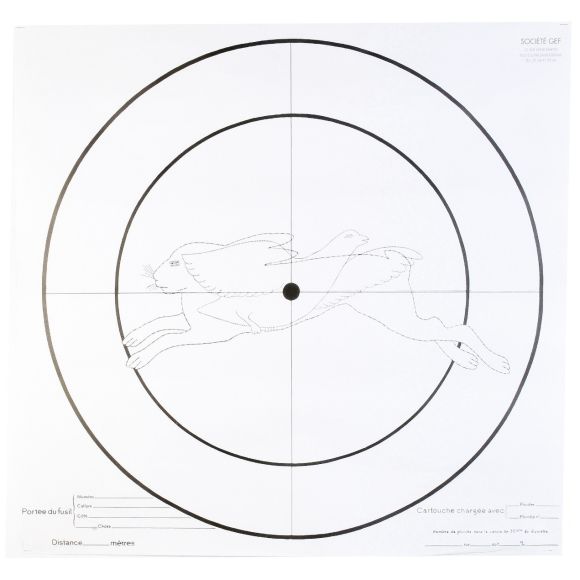 Lot de 100 Cibles d'essai Fusil 90x90
