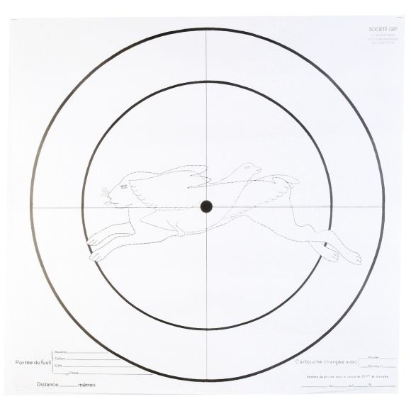 Lot de 100 Cibles d'essai Fusil 90x90